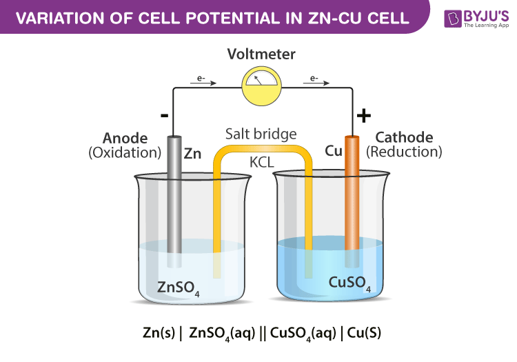 daniel-cell